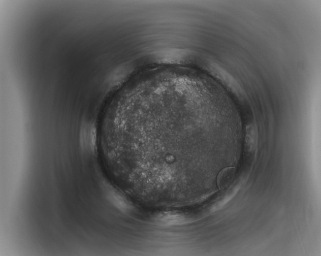 X0000115270589200911061309