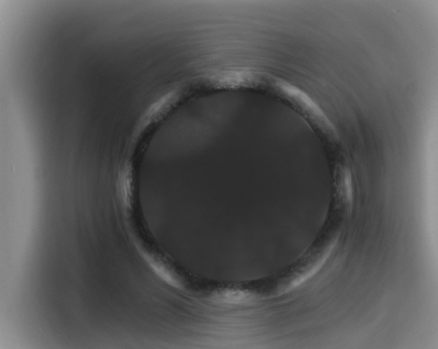 X0000115270590200911061309