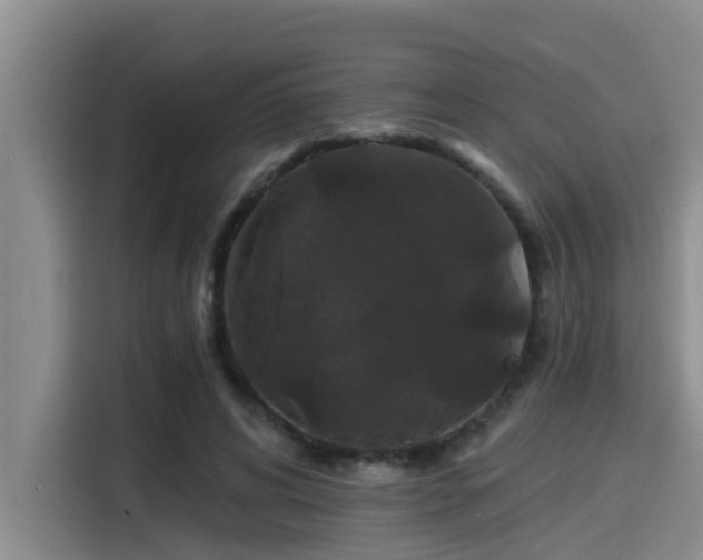 X0000115270592200911061309