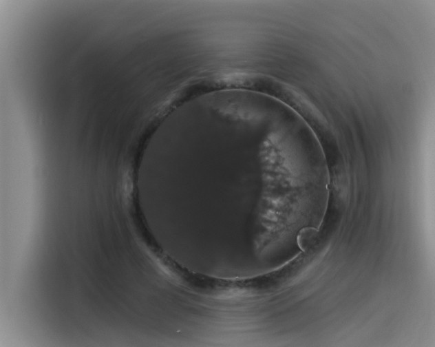X0000115270593200911061309