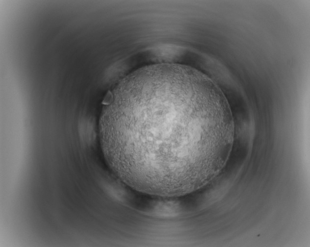X0000115270599200911061309