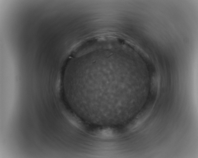 X0000115270600200911061309