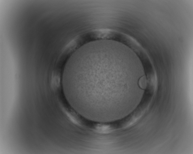 X0000115270602200911061309