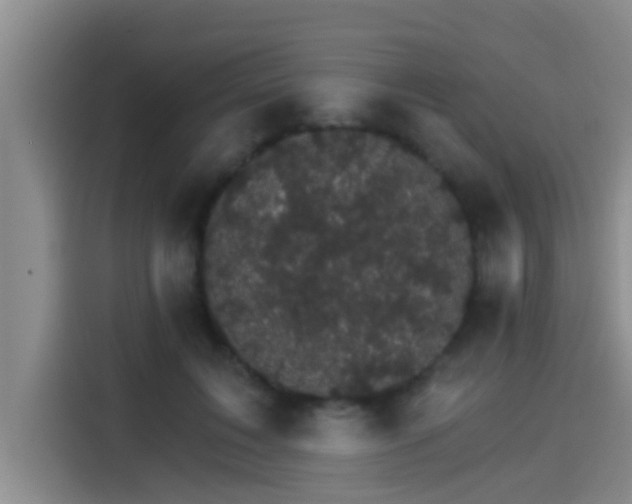 X0000115270603200911061309