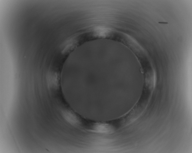 X0000115270605200911061309