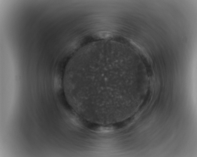 X0000115270606200911061309