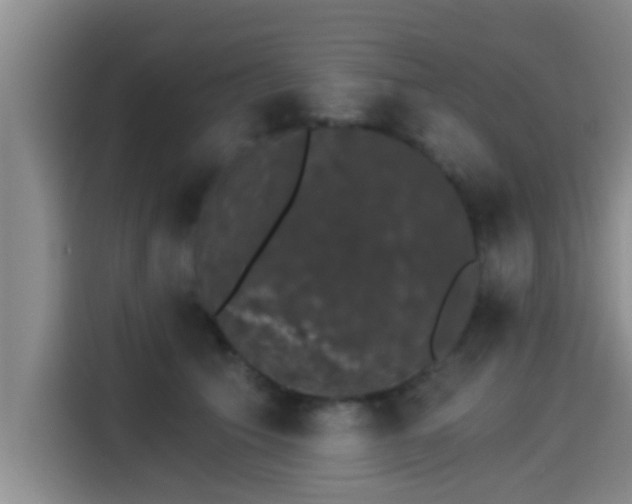 X0000115270609200911061309