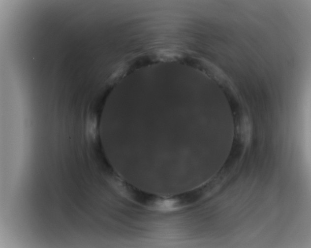 X0000115270610200911061309
