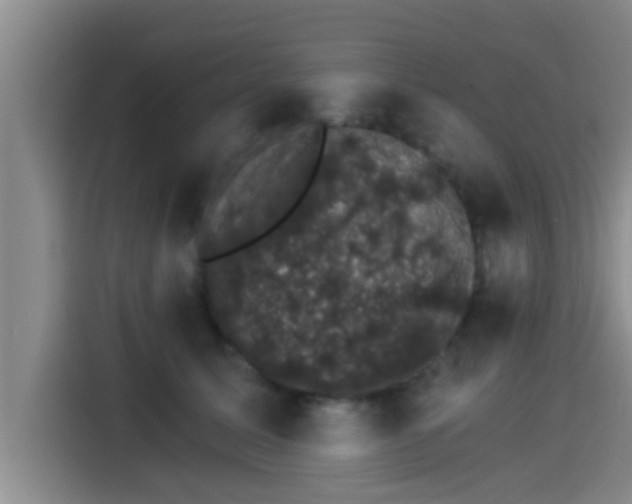 X0000115270611200911061309