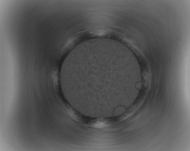 X0000115270612200911061309