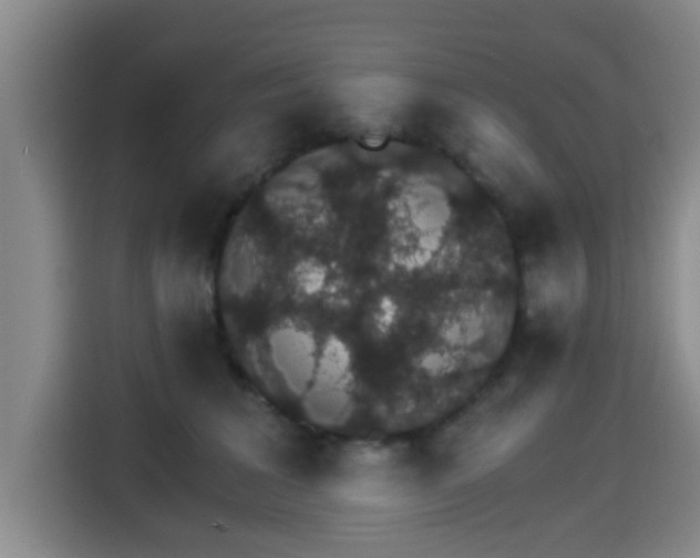 X0000115270613200911061309