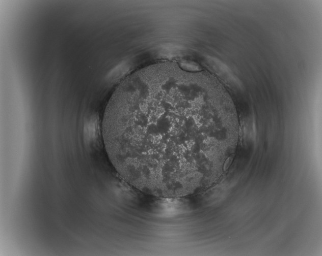 X0000115270623200911061309
