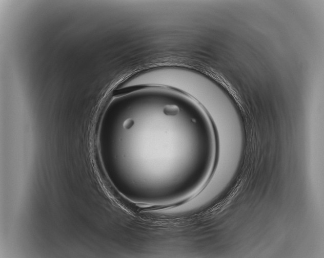 X0000115270625200911061308