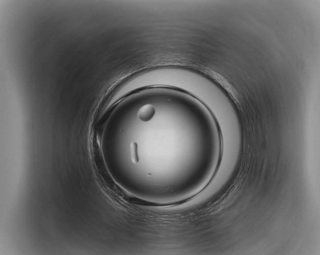 X0000115270627200911061308