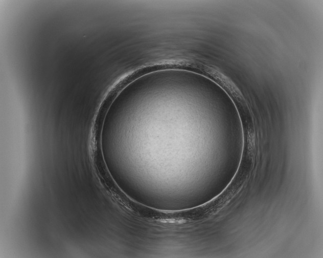 X0000115270628200911061308