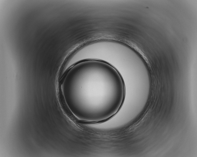 X0000115270629200911061308