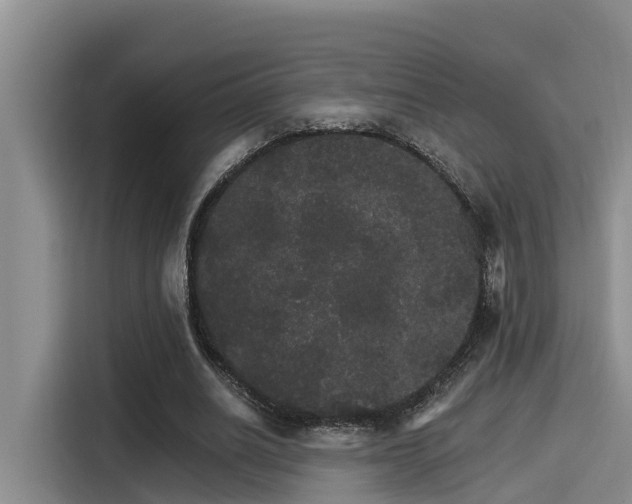 X0000115270630200911061308