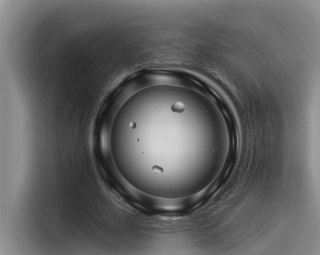 X0000115270631200911061308