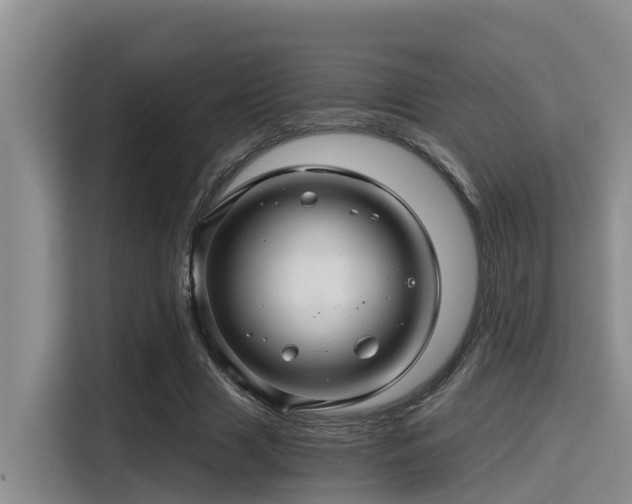 X0000115270633200911061308