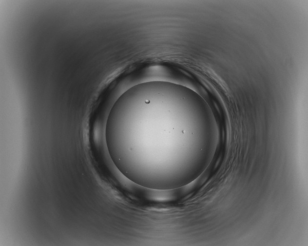 X0000115270635200911061308