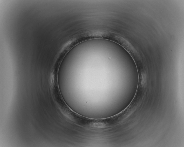 X0000115270636200911061308