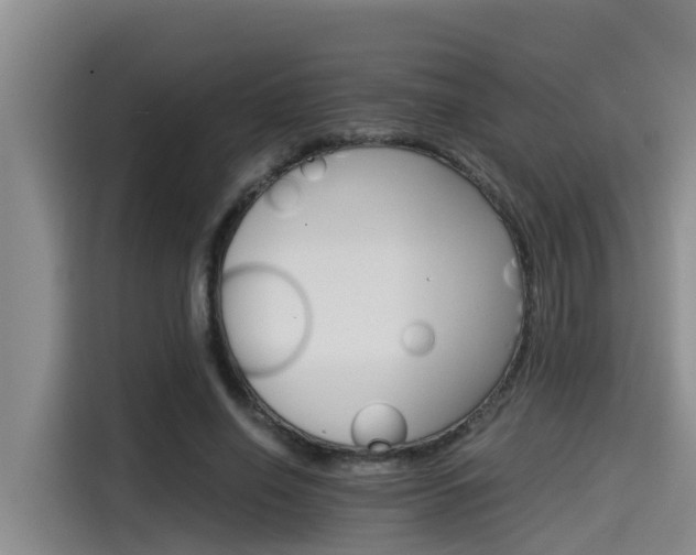 X0000115270638200911061308