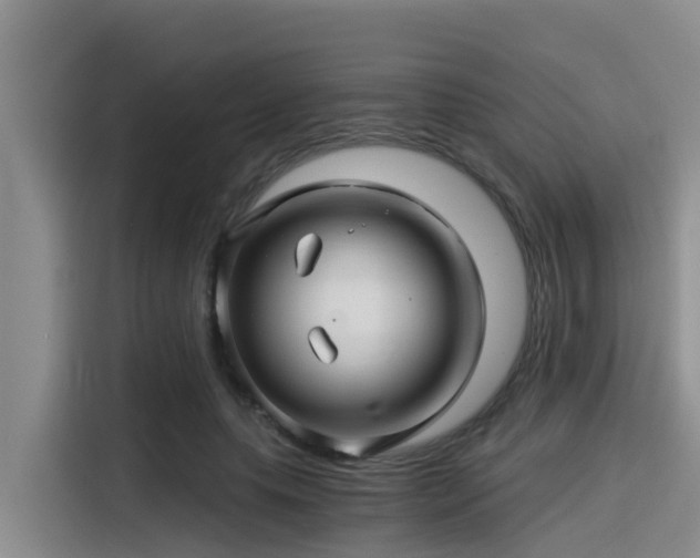 X0000115270639200911061308
