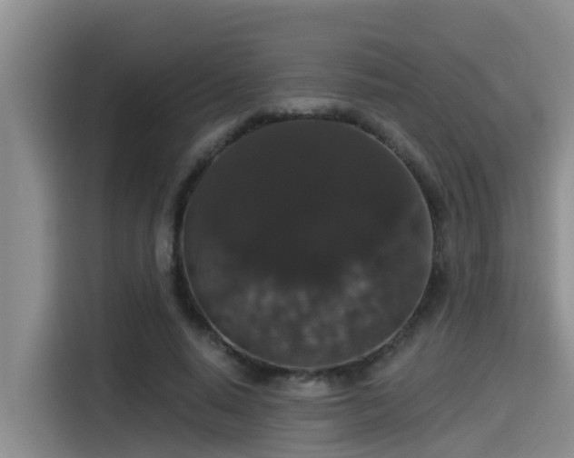 X0000115270640200911061308