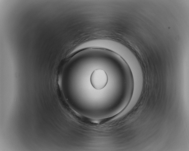 X0000115270641200911061308