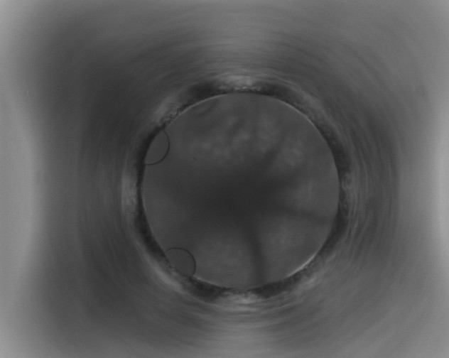 X0000115270642200911061308