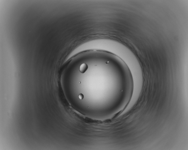 X0000115270643200911061308