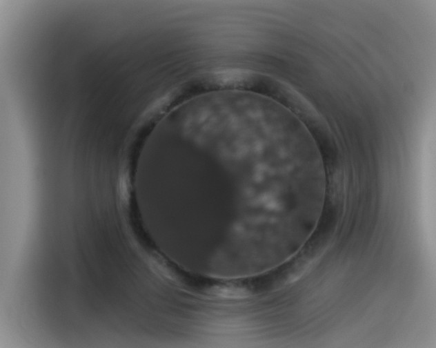 X0000115270644200911061308