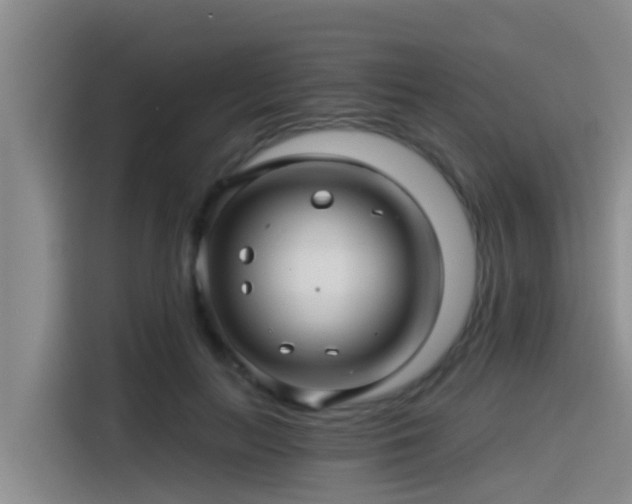 X0000115270647200911061308