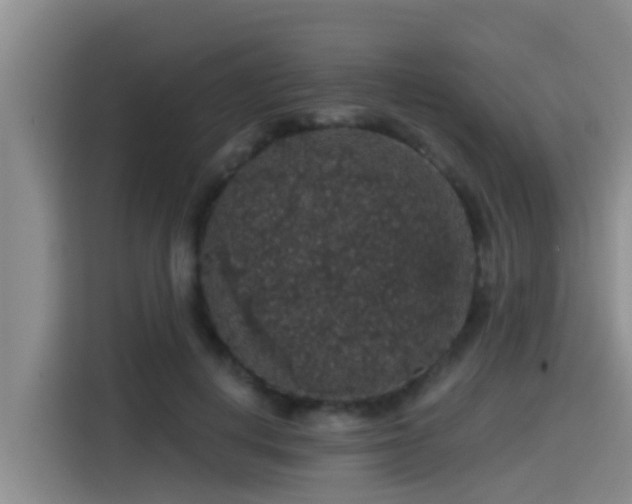 X0000115270648200911061308