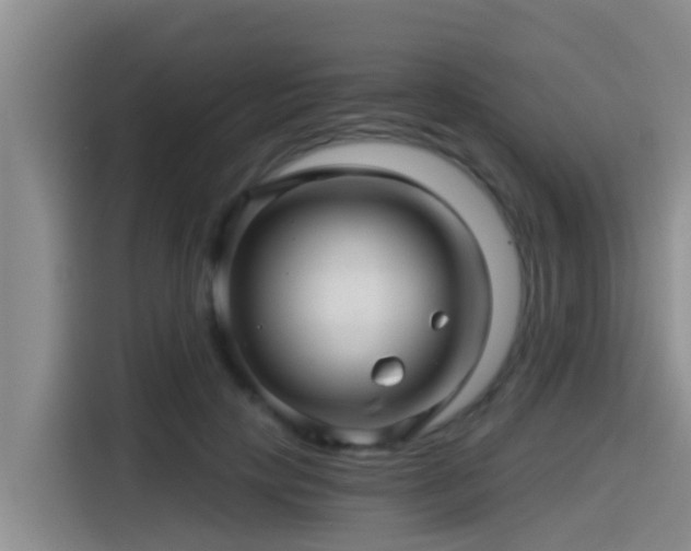 X0000115270649200911061309