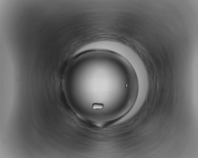 X0000115270653200911061309