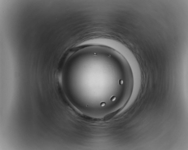 X0000115270657200911061309