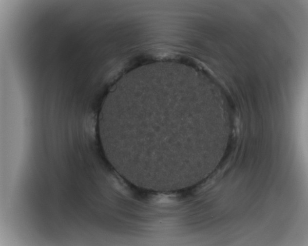 X0000115270664200911061309
