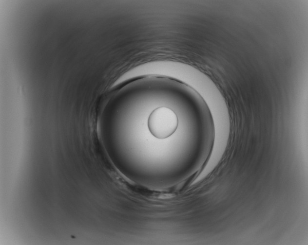 X0000115270665200911061309