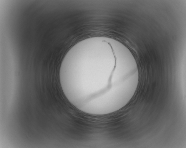 X0000115270667200911061309