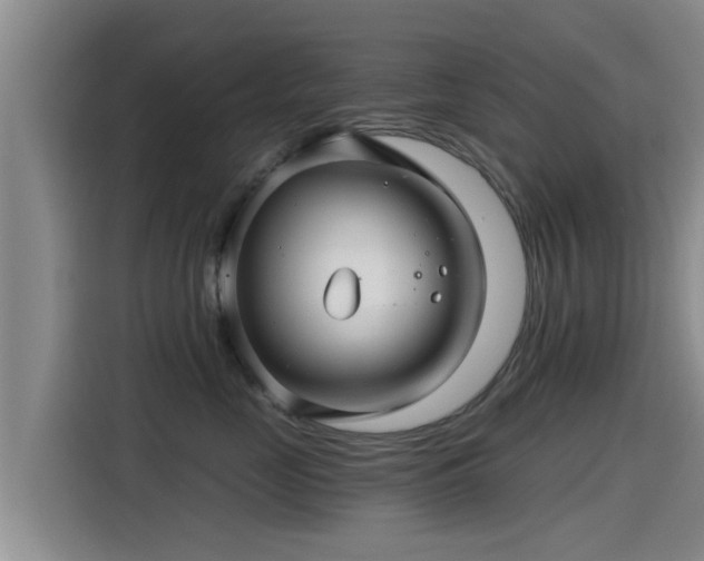X0000115270669200911061309