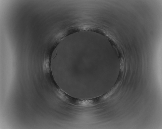 X0000115270670200911061309