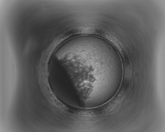 X0000115270673200911061308