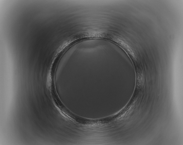 X0000115270674200911061308