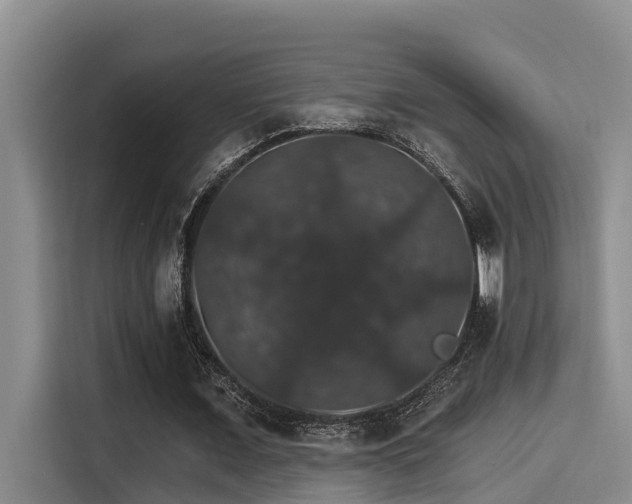 X0000115270675200911061308