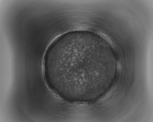X0000115270676200911061308