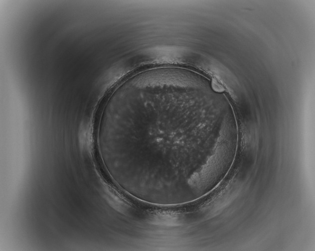 X0000115270677200911061308
