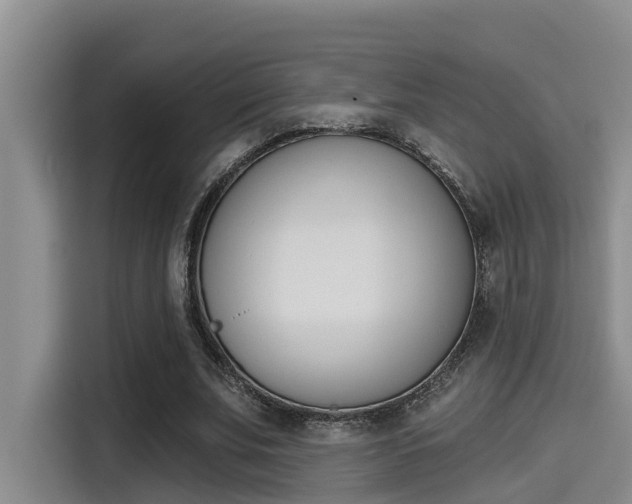 X0000115270679200911061308