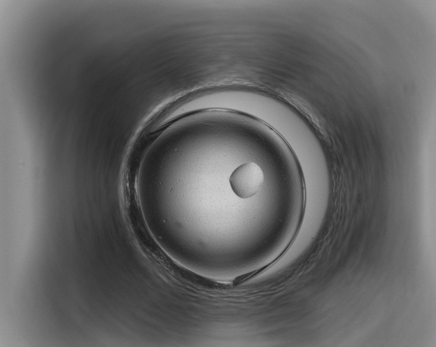 X0000115270680200911061308