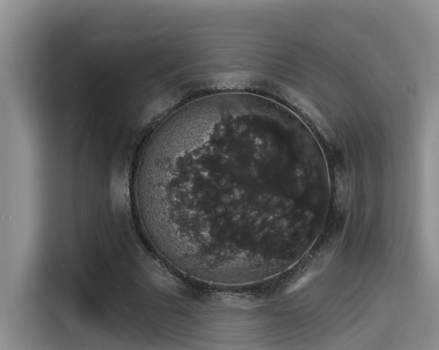 X0000115270681200911061308